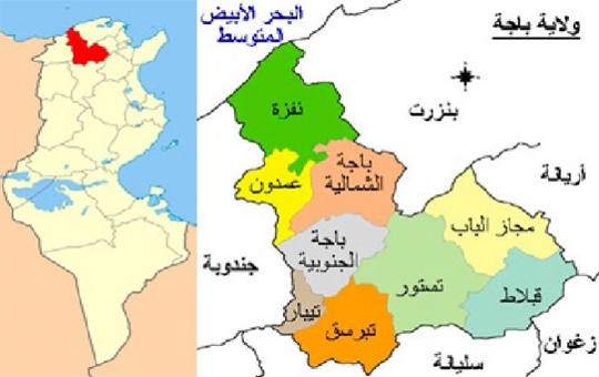 باجة 